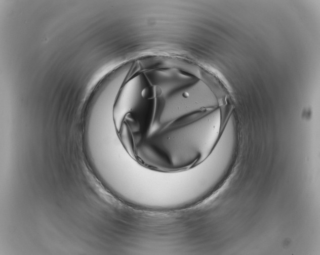 X0000091101114200709041317