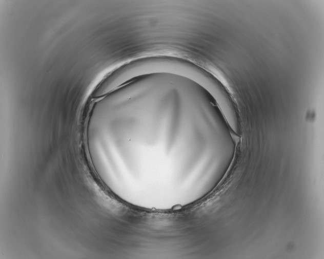 X0000091101116200709041317