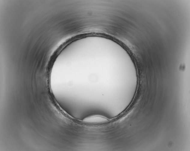 X0000091101118200709041317