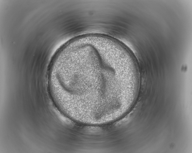 X0000091101119200709041317