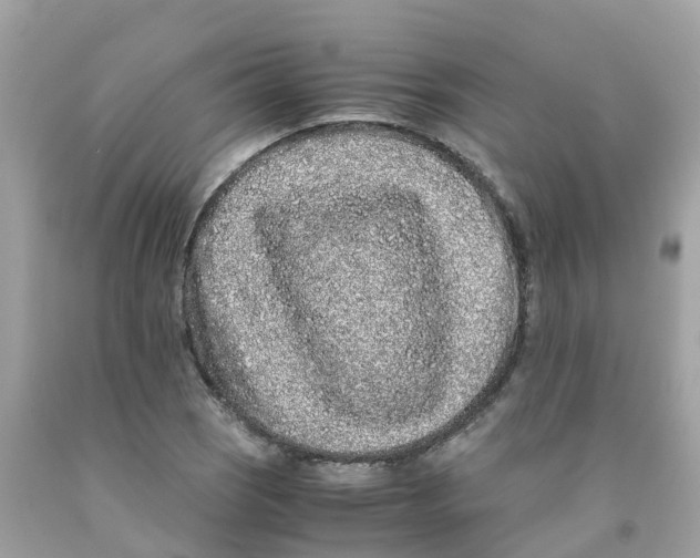 X0000091101121200709041317