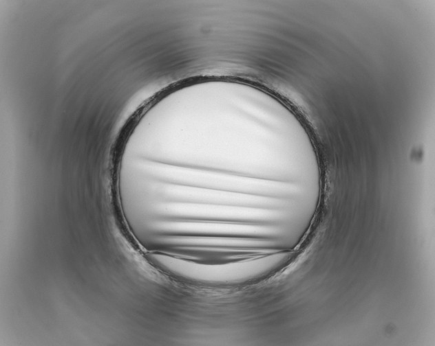 X0000091101122200709041317