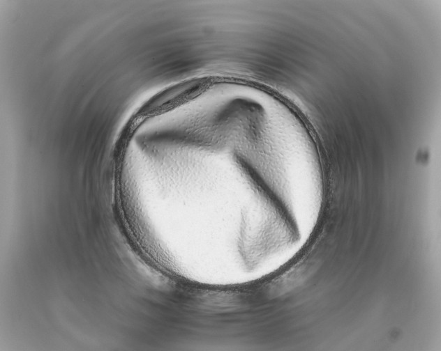 X0000091101123200709041317