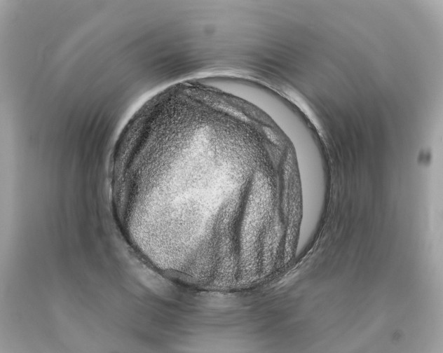 X0000091101124200709041317