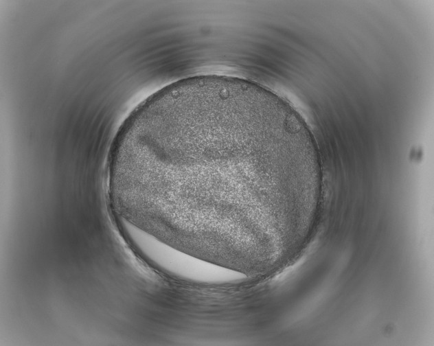 X0000091101125200709041317