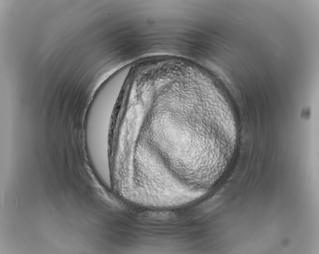 X0000091101129200709041317