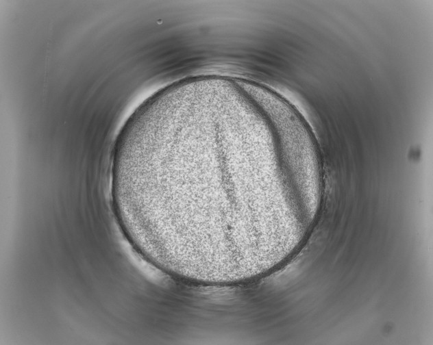 X0000091101131200709041317