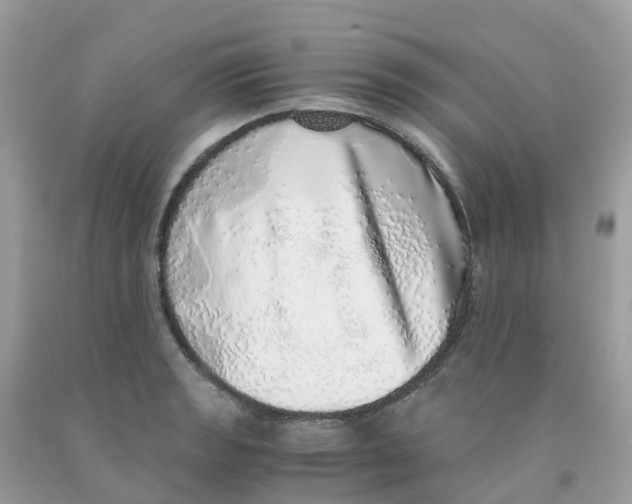 X0000091101133200709041317