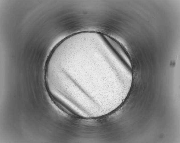 X0000091101135200709041317