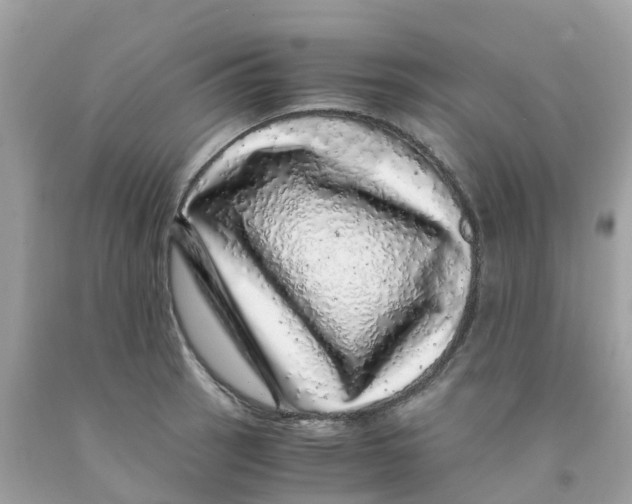 X0000091101137200709041318