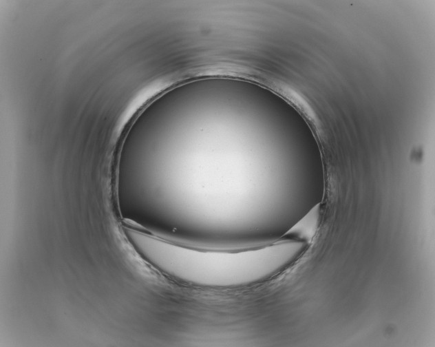 X0000091101138200709041318