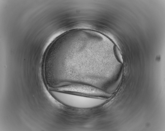 X0000091101139200709041318