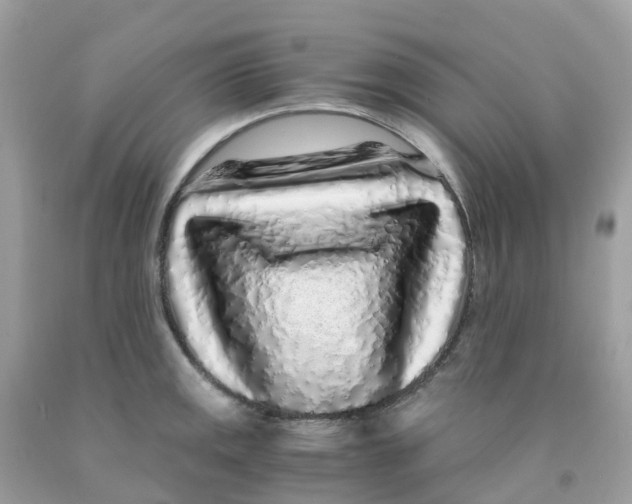 X0000091101141200709041318