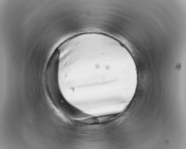 X0000091101142200709041318