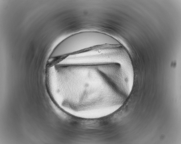 X0000091101143200709041318