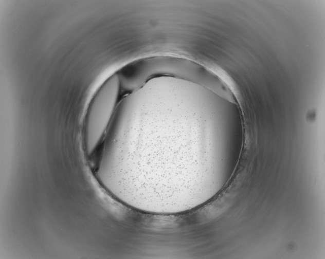 X0000091101144200709041318