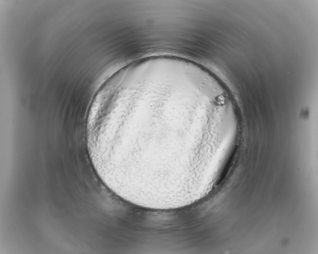 X0000091101145200709041318