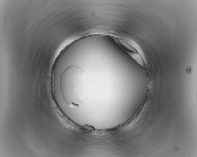 X0000091101146200709041318