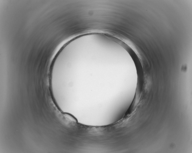 X0000091101148200709041318