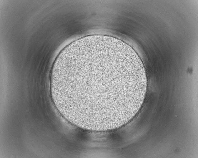 X0000091101150200709041318