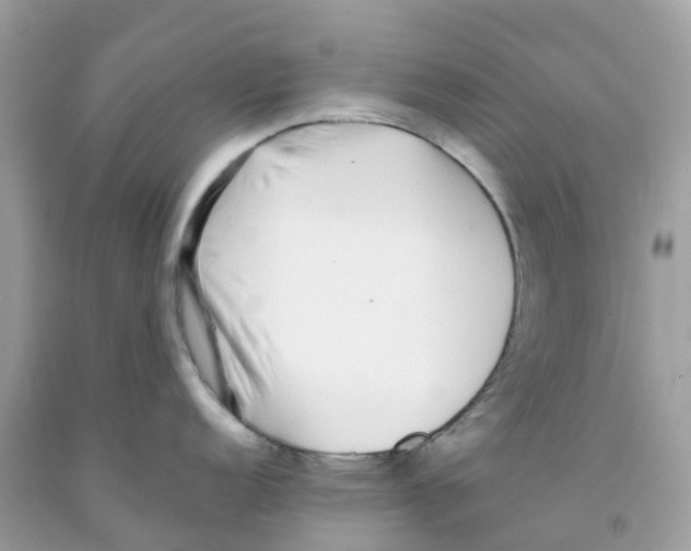 X0000091101152200709041318