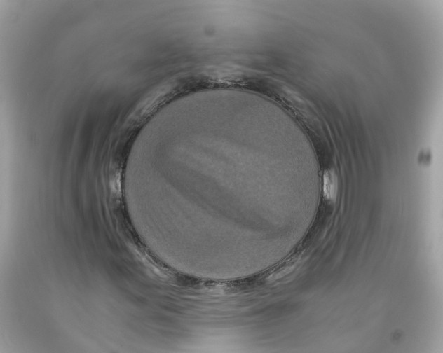 X0000091101155200709041317