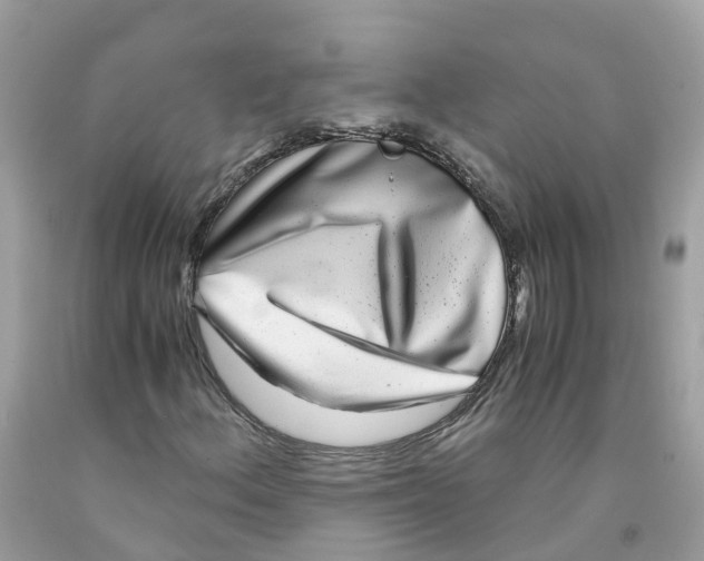 X0000091101156200709041317