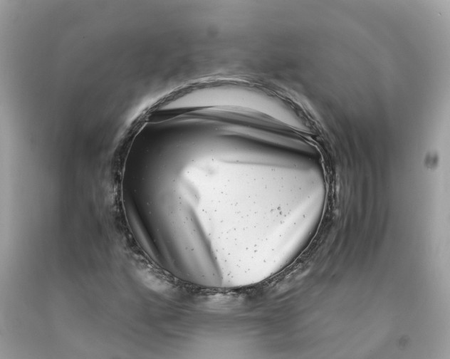 X0000091101160200709041317