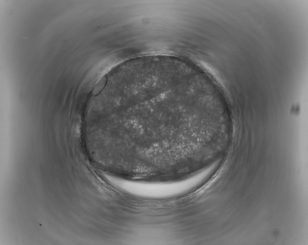 X0000091101161200709041317