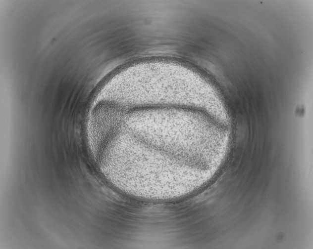 X0000091101162200709041317