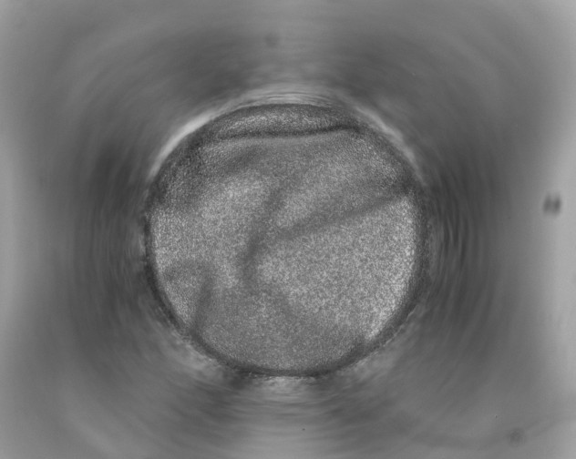 X0000091101166200709041317