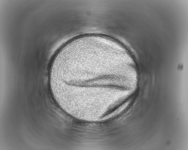 X0000091101167200709041317