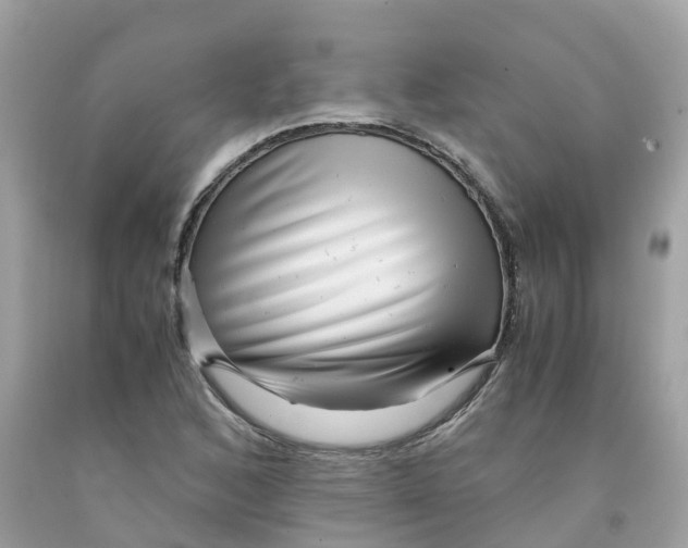 X0000091101168200709041317