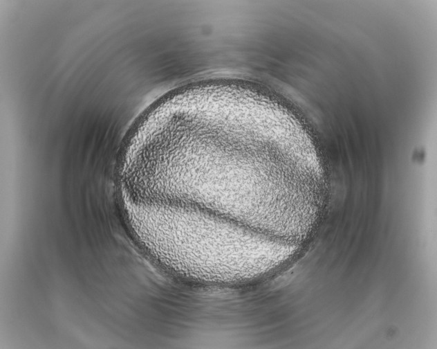 X0000091101170200709041317