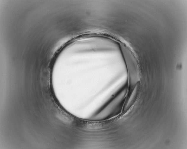 X0000091101171200709041317