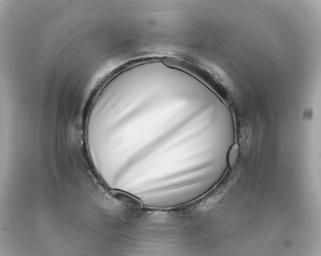 X0000091101172200709041317