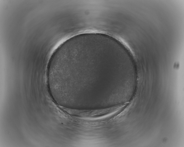 X0000091101173200709041317