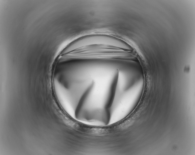 X0000091101176200709041317