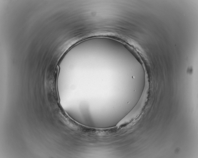 X0000091101177200709041317