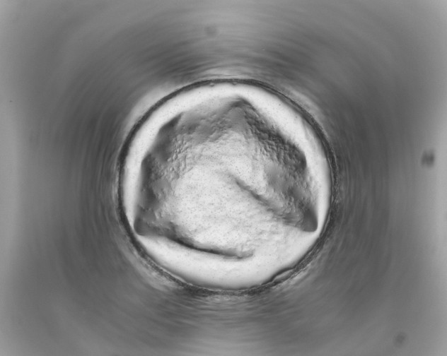 X0000091101179200709041317