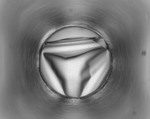 X0000091101180200709041317