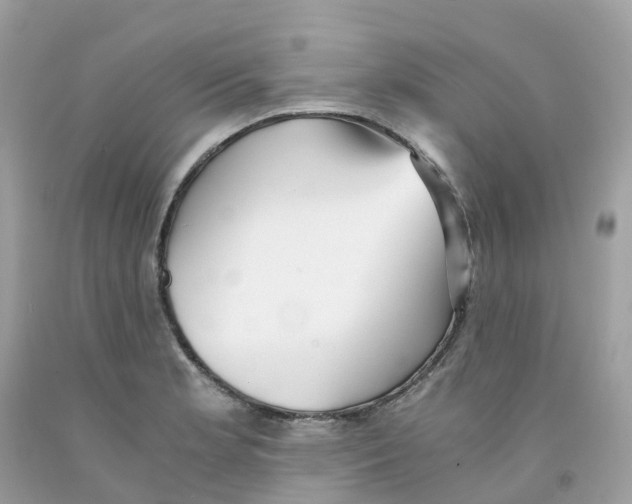 X0000091101181200709041317