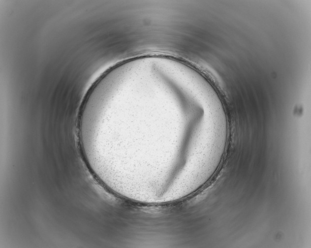 X0000091101182200709041317