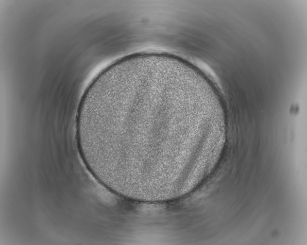 X0000091101183200709041317