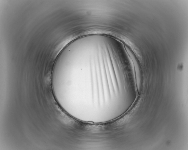 X0000091101185200709041317