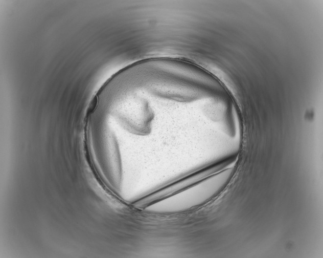 X0000091101187200709041317