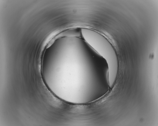 X0000091101188200709041317