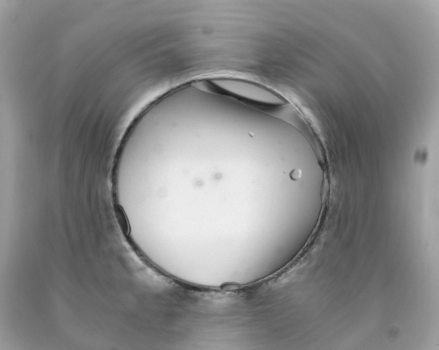 X0000091101189200709041317