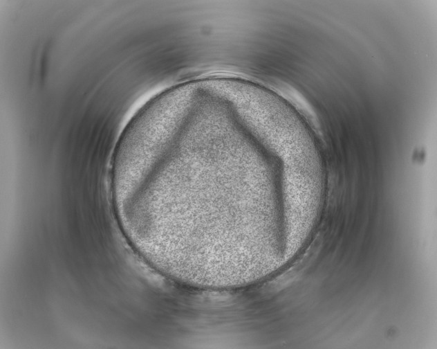 X0000091101190200709041317