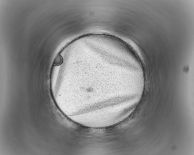 X0000091101191200709041317